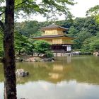 Spiegelsee mit gold. Pavillon