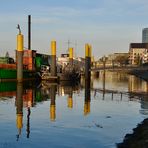 Spiegelspielereien auf der Weser