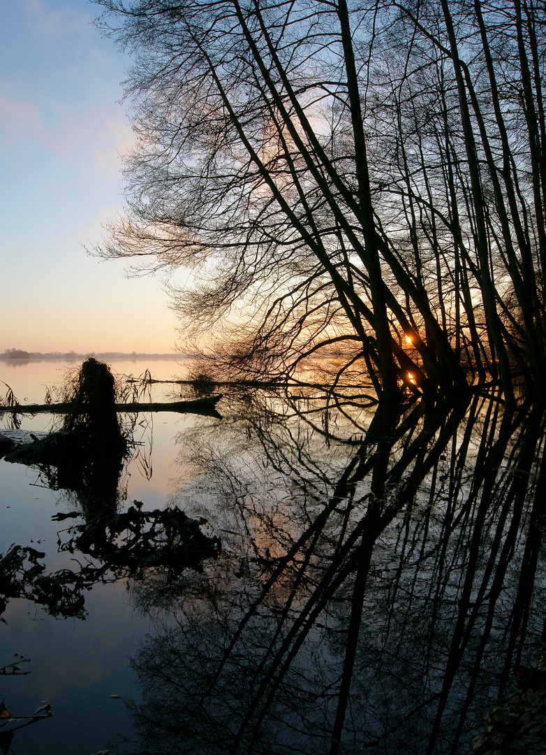 Spiegelstimmung