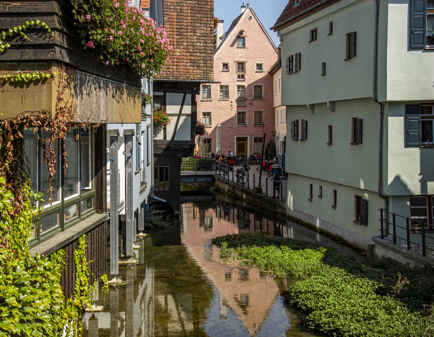 Spiegelszene an der Blau in Ulm