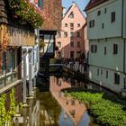 Spiegelszene an der Blau in Ulm