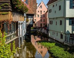 Spiegelszene an der Blau in Ulm