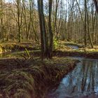 spiegelt da schon der Frühling mit rein?