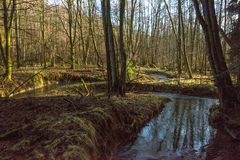 spiegelt da schon der Frühling mit rein?