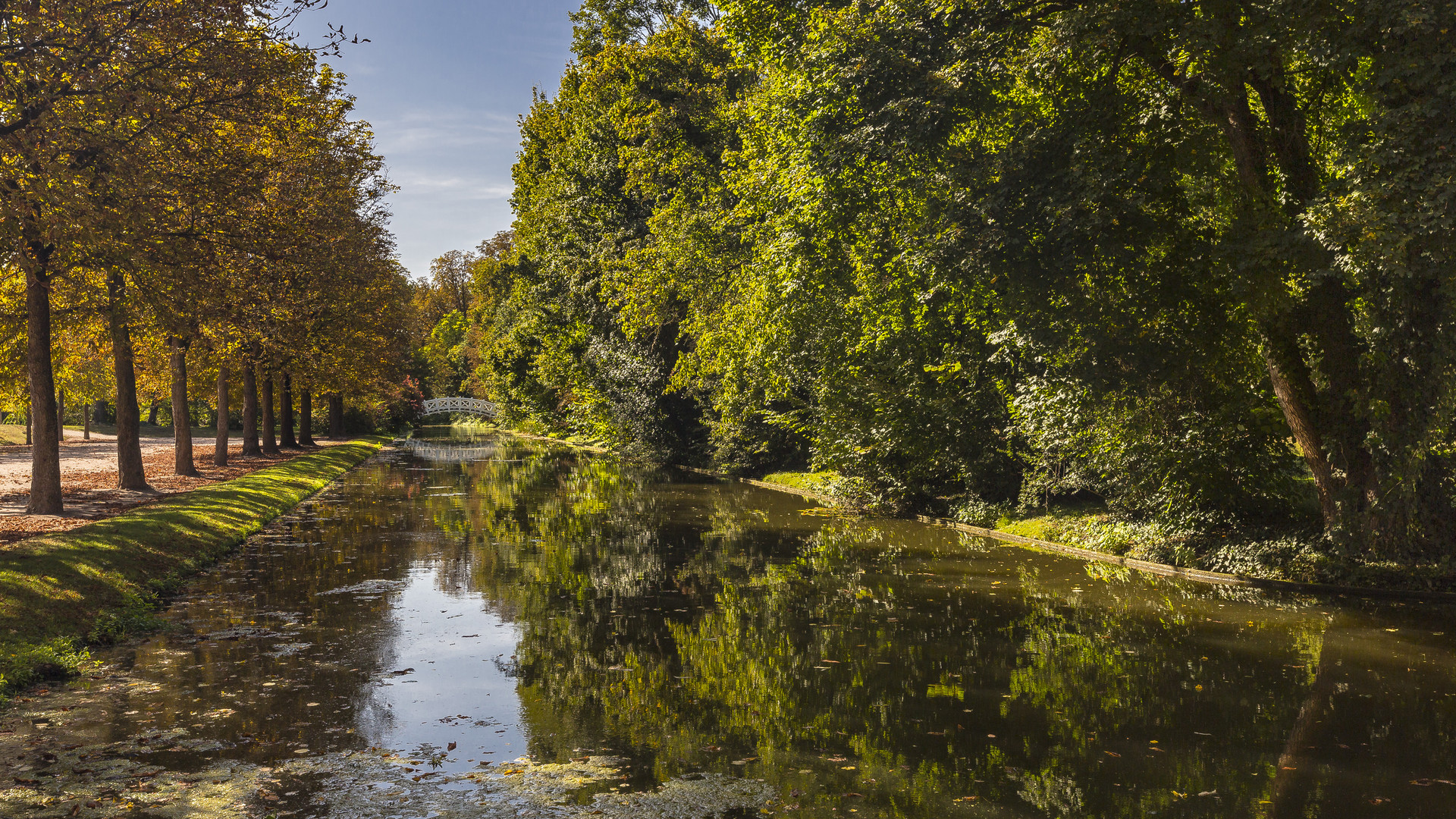 SPIEGELTAG - 01.10.2019