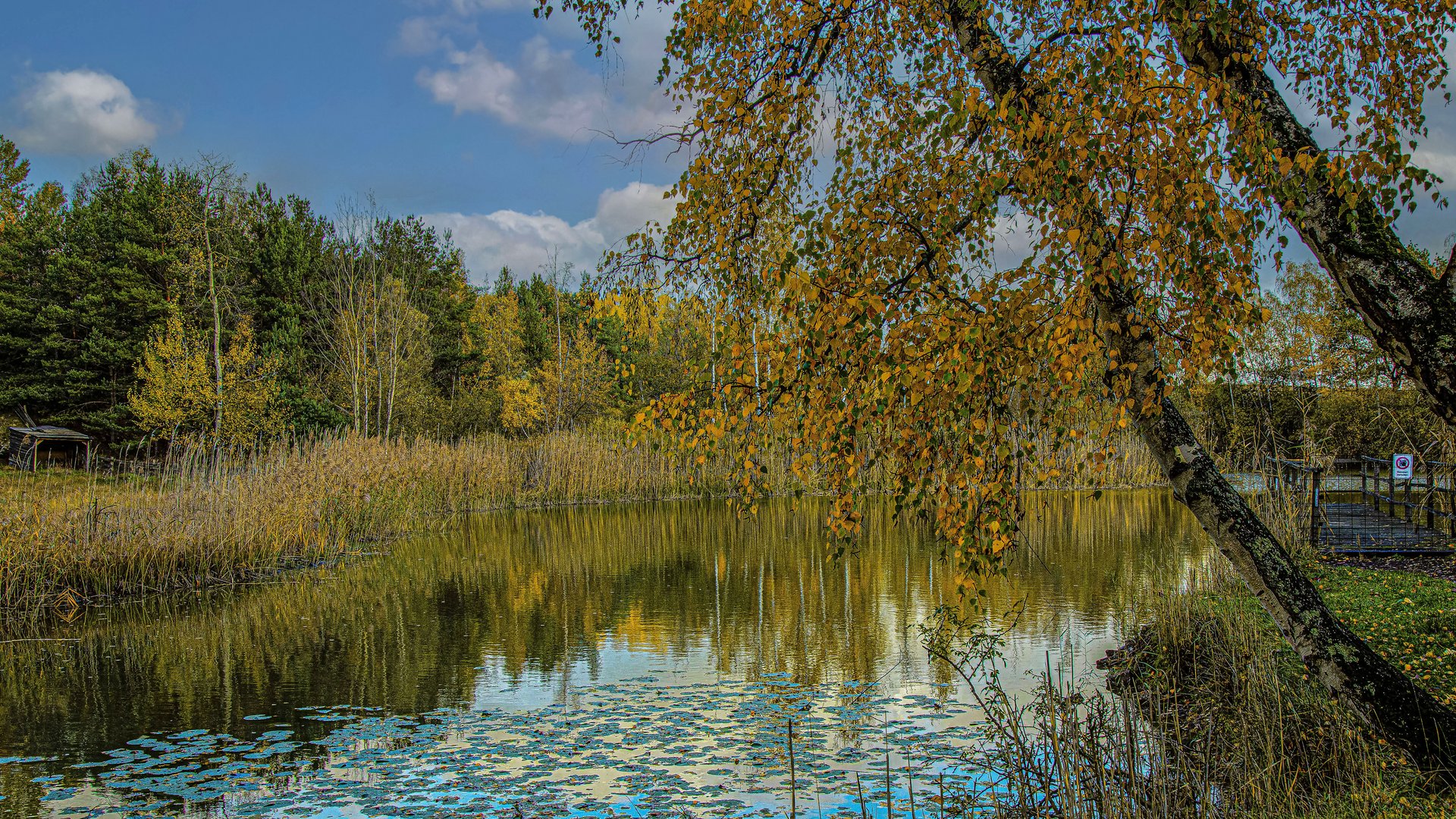 SPIEGELTAG - 02.11.2021