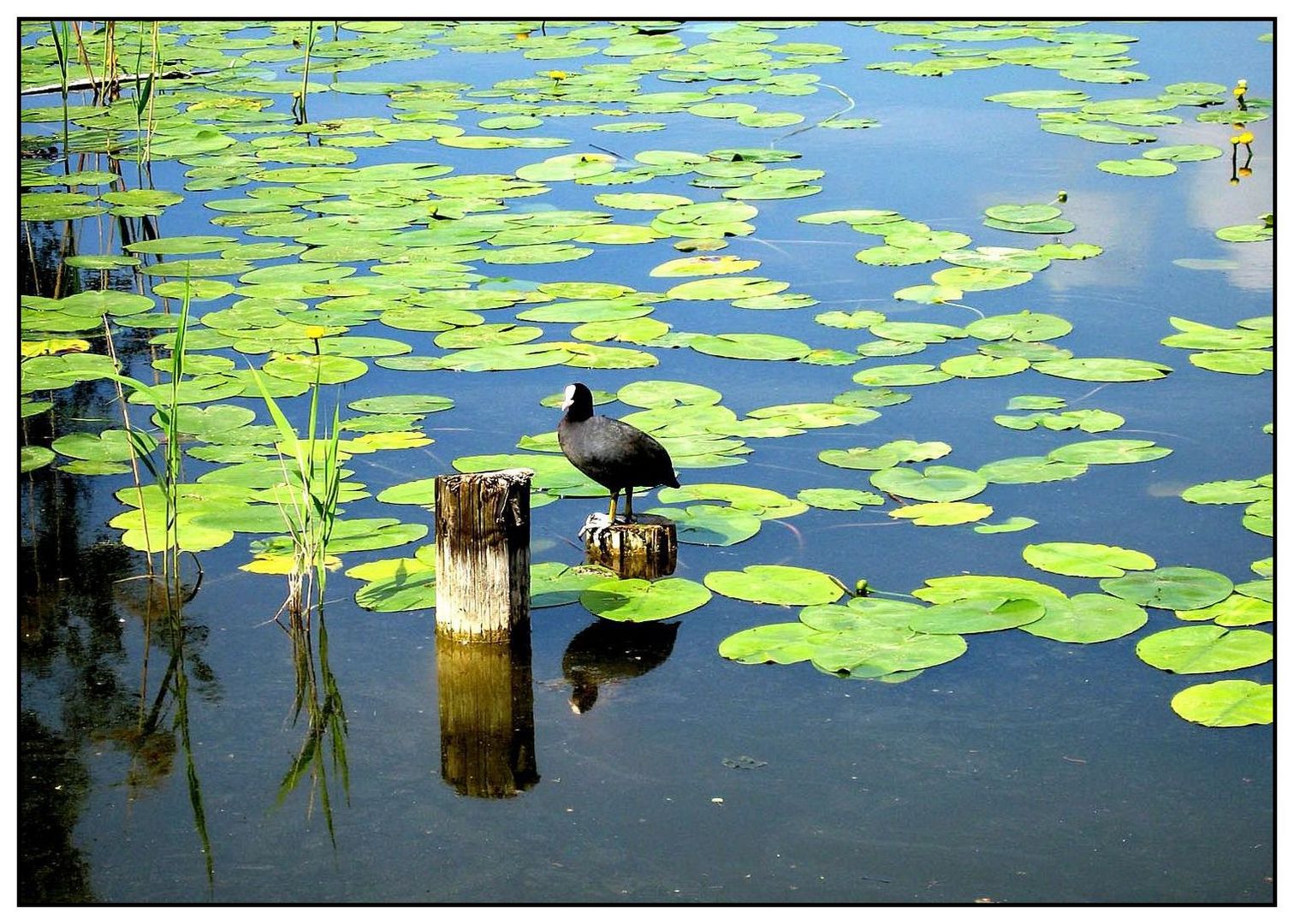 Spiegeltag 06.07.21