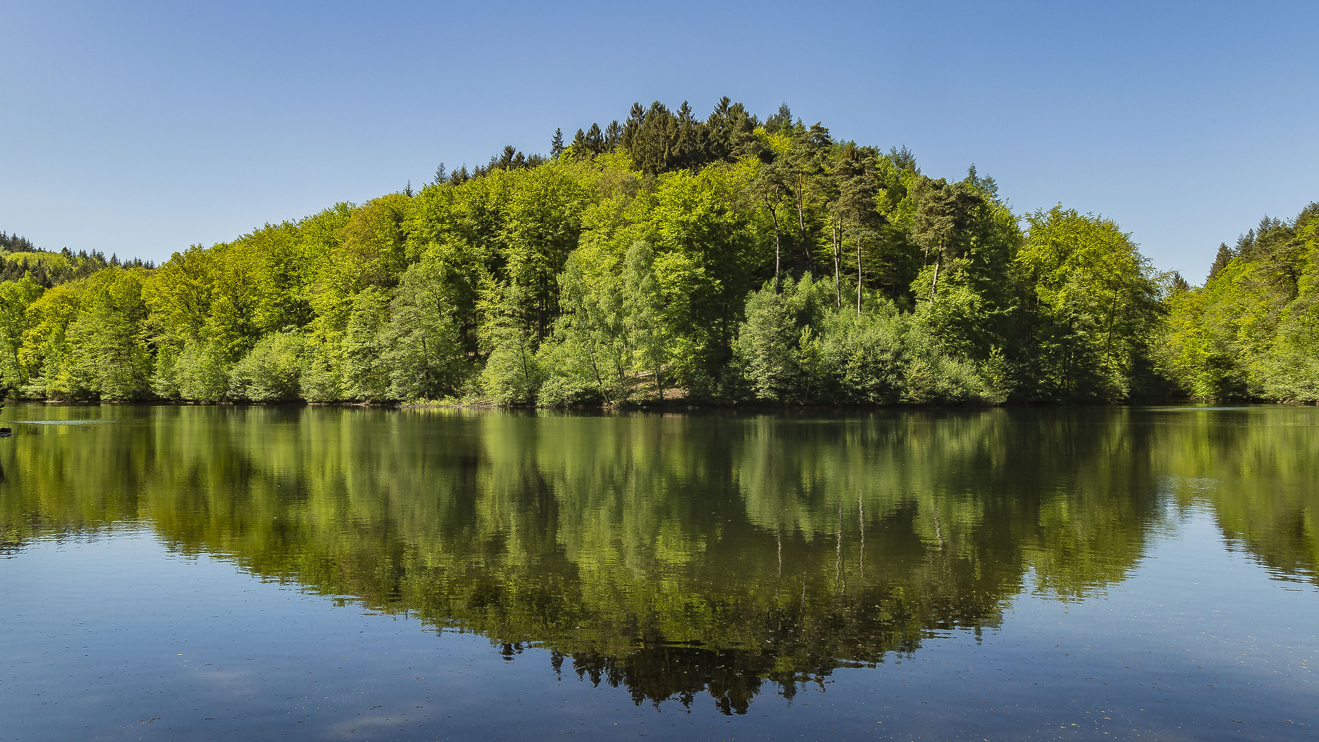 SPIEGELTAG -09.10.2018