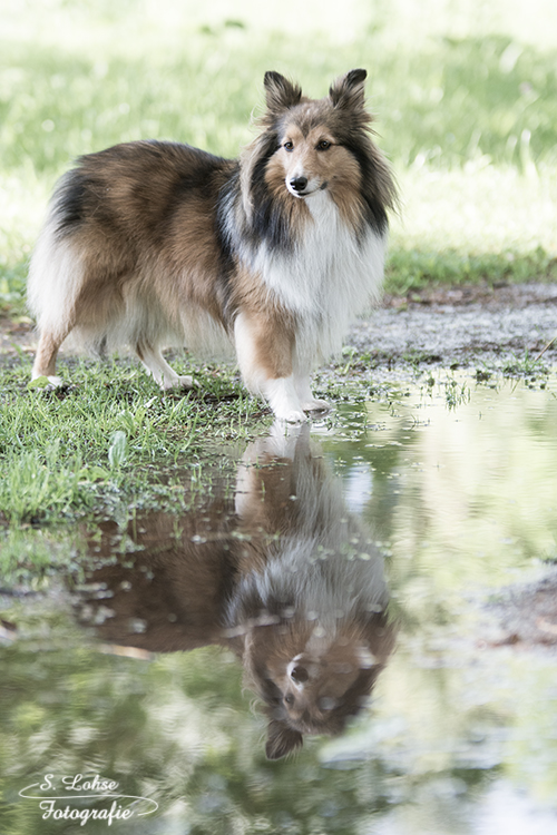 Spiegeltag 15.08.17