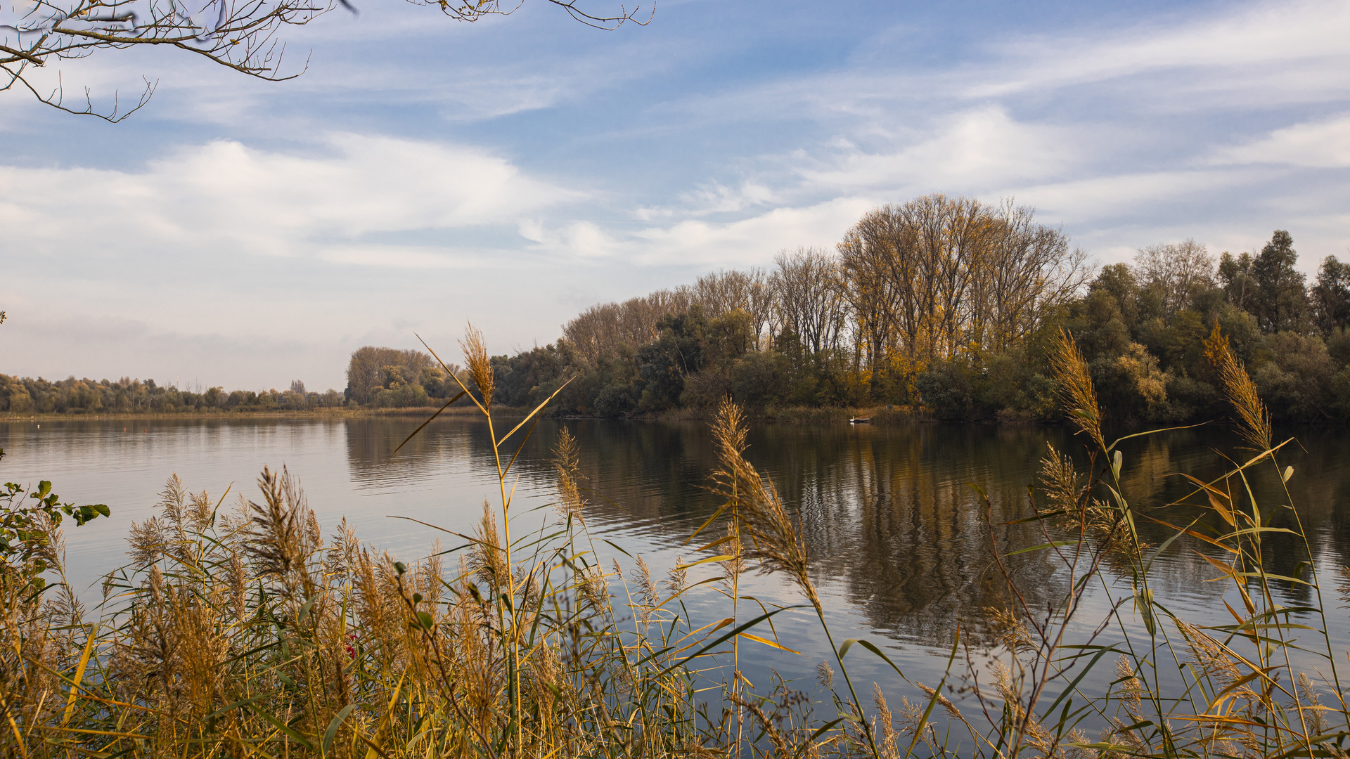 SPIEGELTAG - 16.11.2021