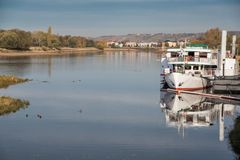 Spiegeltag 20.11. an der tiefen Elbe in Dresden