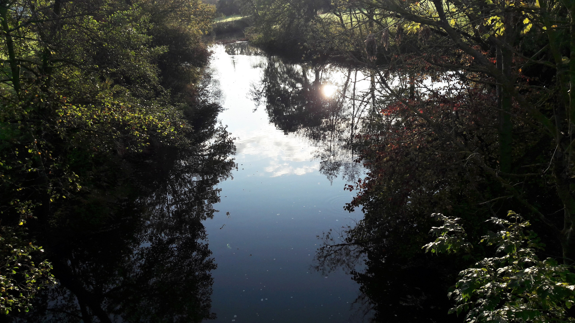 Spiegeltag :  25.10.2019 zwischen Bäumen untergegangene Sonne