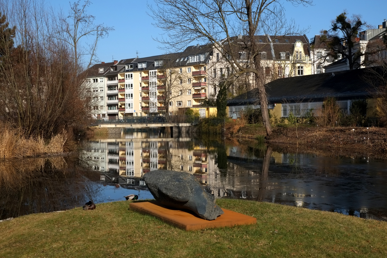 Spiegeltag 28.02.2017 - Botanischer Garten Bonn