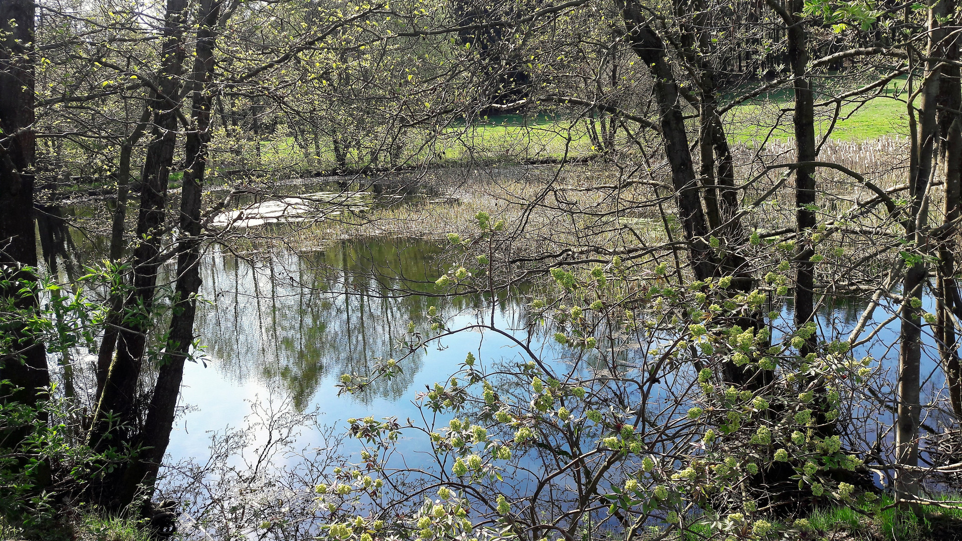 Spiegeltag : 28.04.2020 Als es noch Frühling war