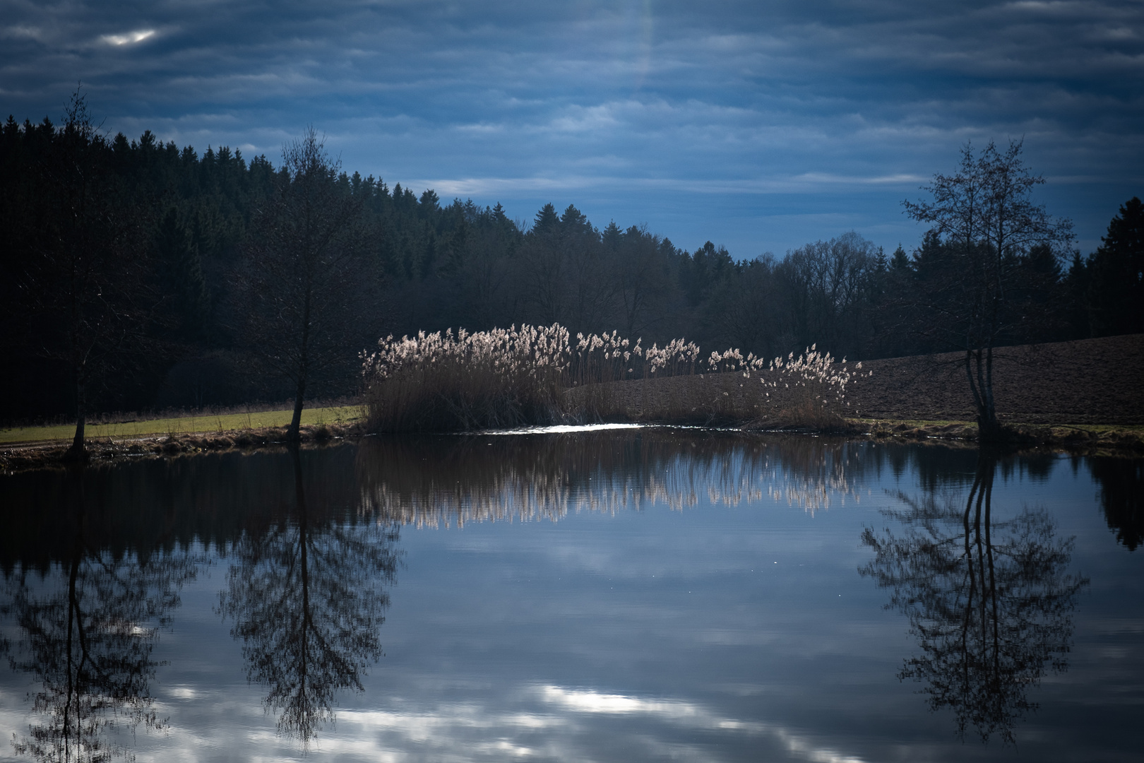 Spiegeltag