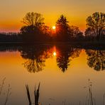 Spiegeltag - Abend am Fischteich