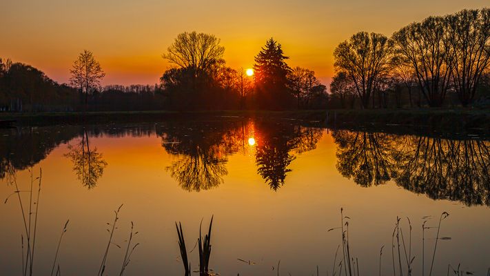 Spiegeltag - Abend am Fischteich
