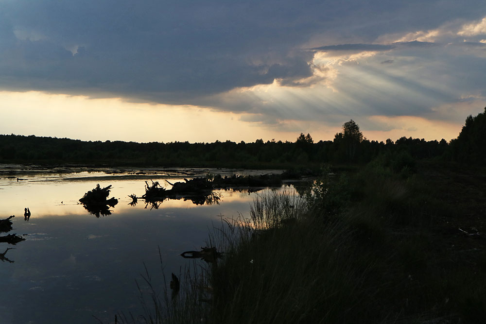 Spiegeltag: Abend am Moor 