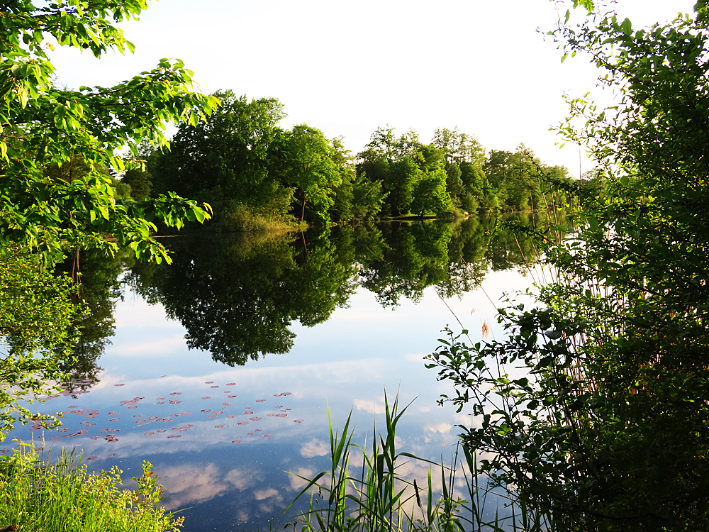 Spiegeltag: Abends am Bornbruchsee