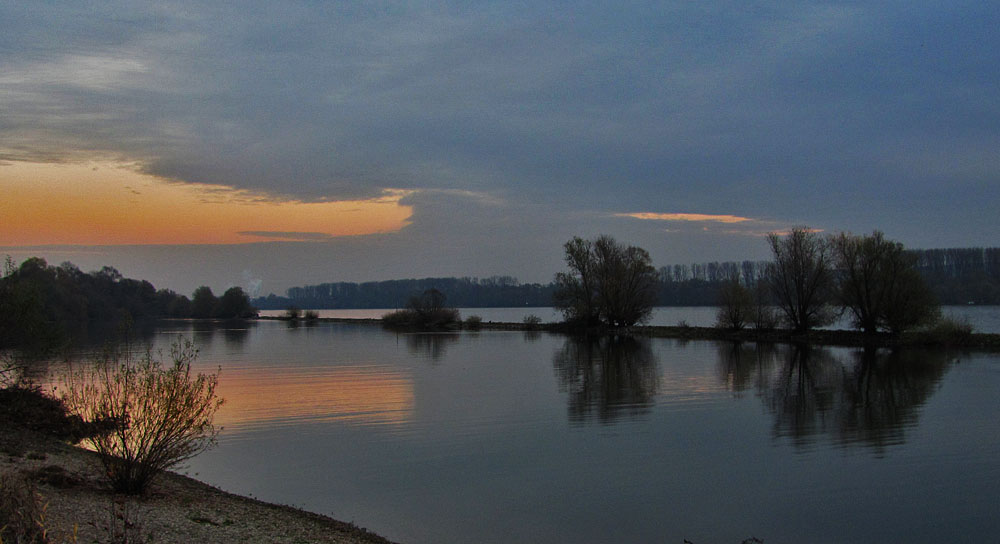 Spiegeltag: Abends am Rhein im Rheingau 