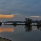 Spiegeltag: Abends am Rhein im Rheingau 