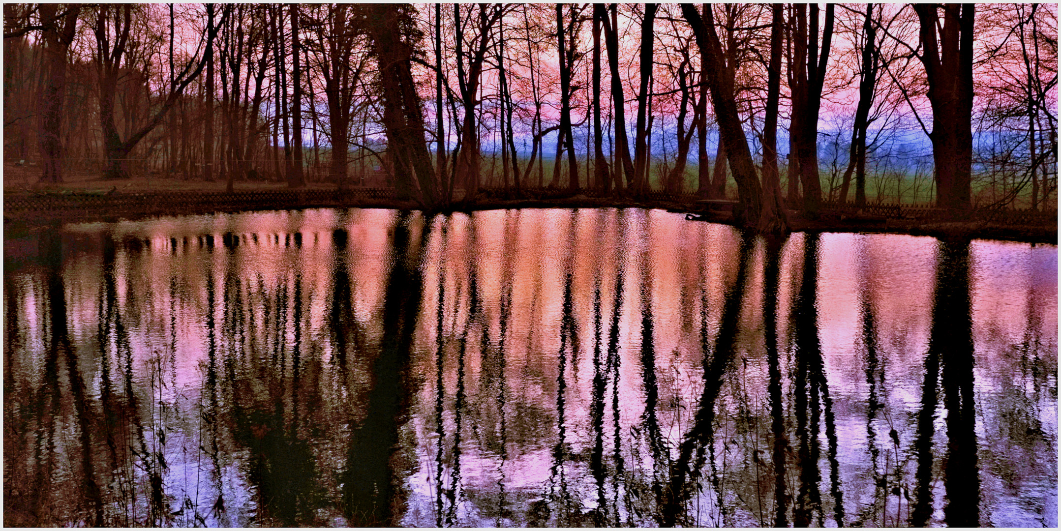 Spiegeltag - Abends am Teich