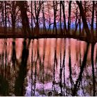 Spiegeltag - Abends am Teich