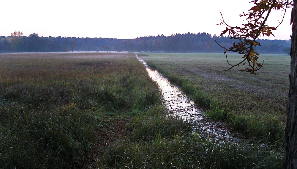 Spiegeltag: abends im Naturschutzgebiet