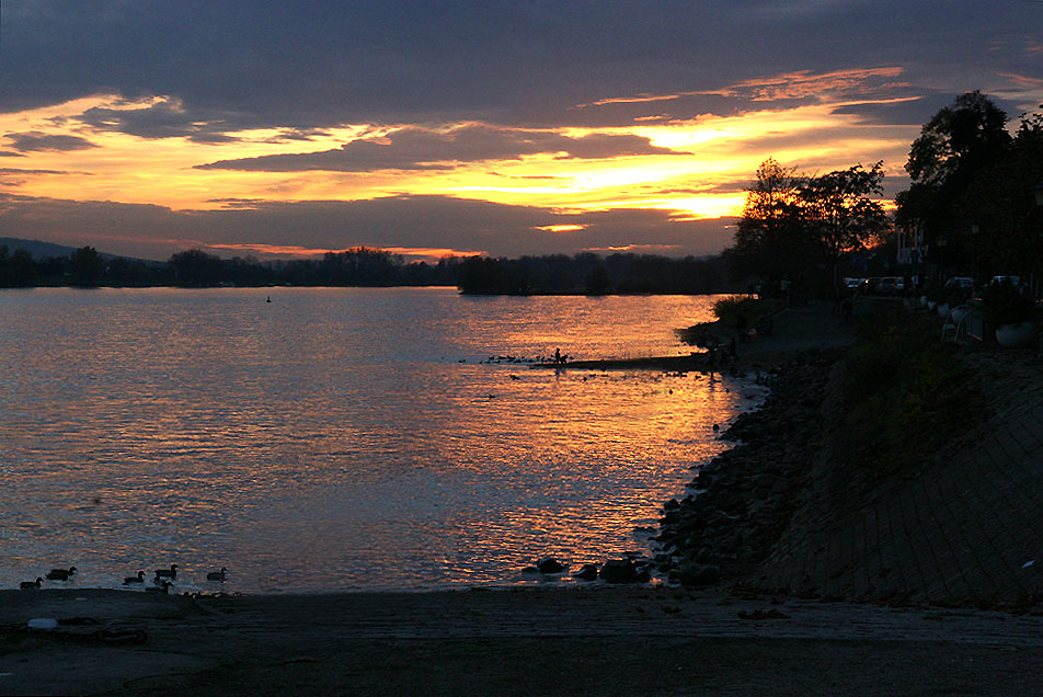 Spiegeltag: Abends im Rheingau