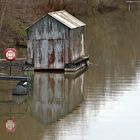 Spiegeltag - Altrhein Erfelden