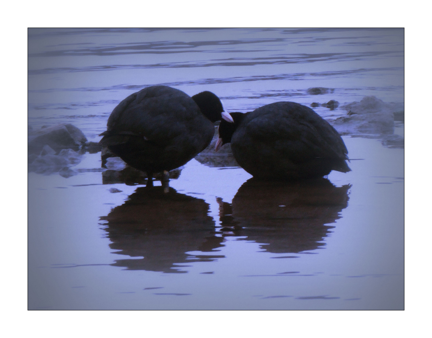 Spiegeltag am 08.02.22