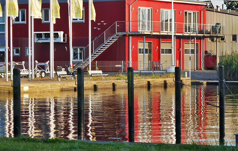 Spiegeltag: Am Ende der Schlei in Schleswig