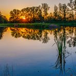 Spiegeltag - Am Fischteich