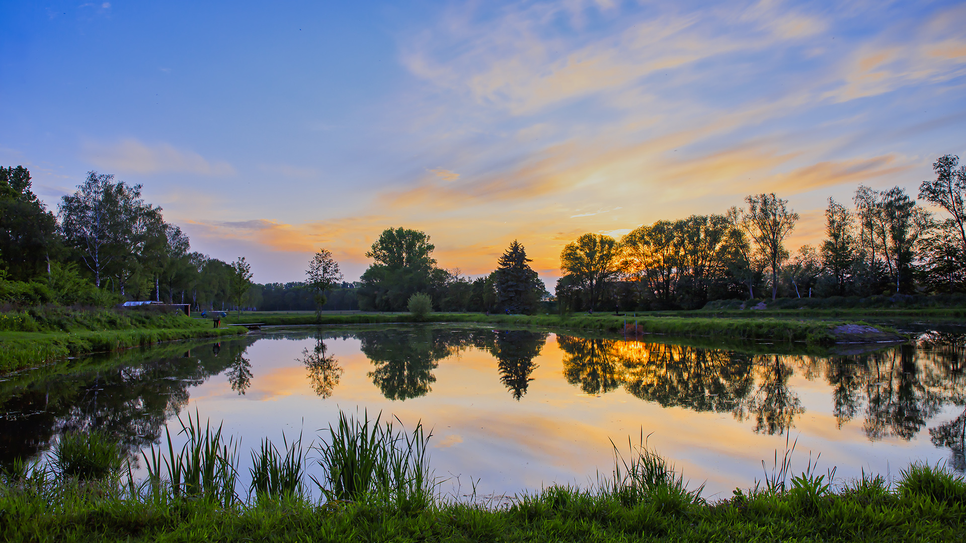 Spiegeltag am Fischteich