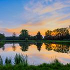 Spiegeltag am Fischteich