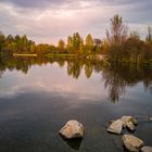 Spiegeltag - am herbstlichen Teich