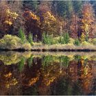 Spiegeltag am herbstlichen Weiher