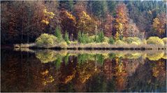 Spiegeltag am herbstlichen Weiher