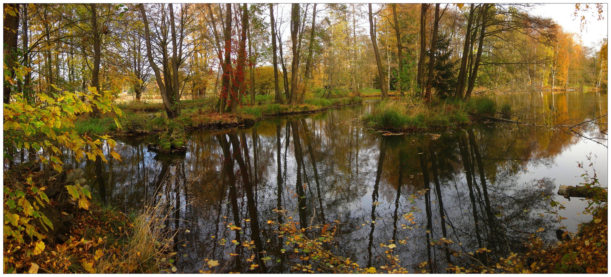 Spiegeltag am Herbstweiher