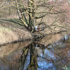 Spiegeltag   - am Landgraben - 