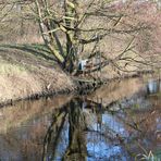 Spiegeltag   - am Landgraben - 