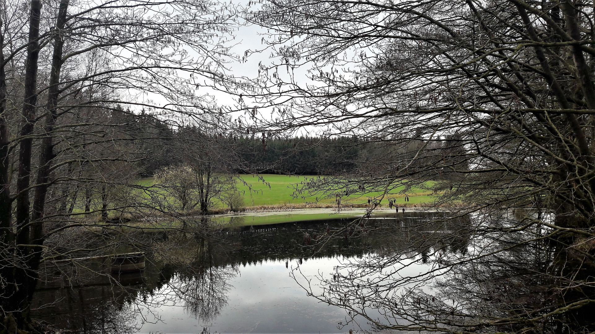 Spiegeltag am Lernschwimmteich