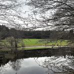 Spiegeltag am Lernschwimmteich