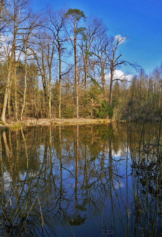 Spiegeltag: Am Lindensee