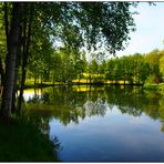 Spiegeltag am Lübnitzsee