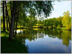 Spiegeltag am Lübnitzsee