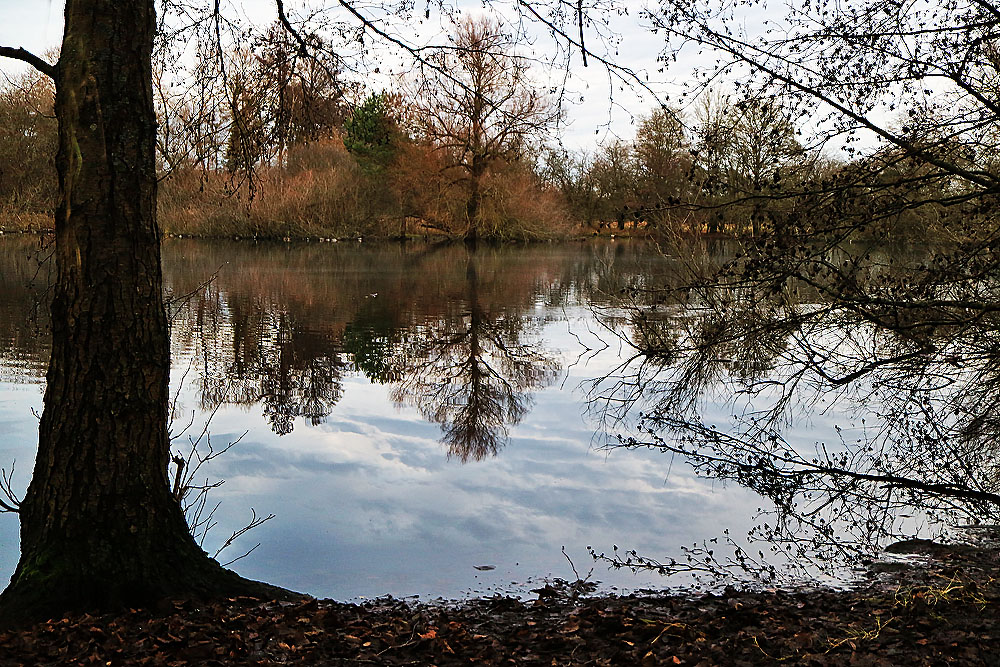 Spiegeltag: am Mönchbruchweier