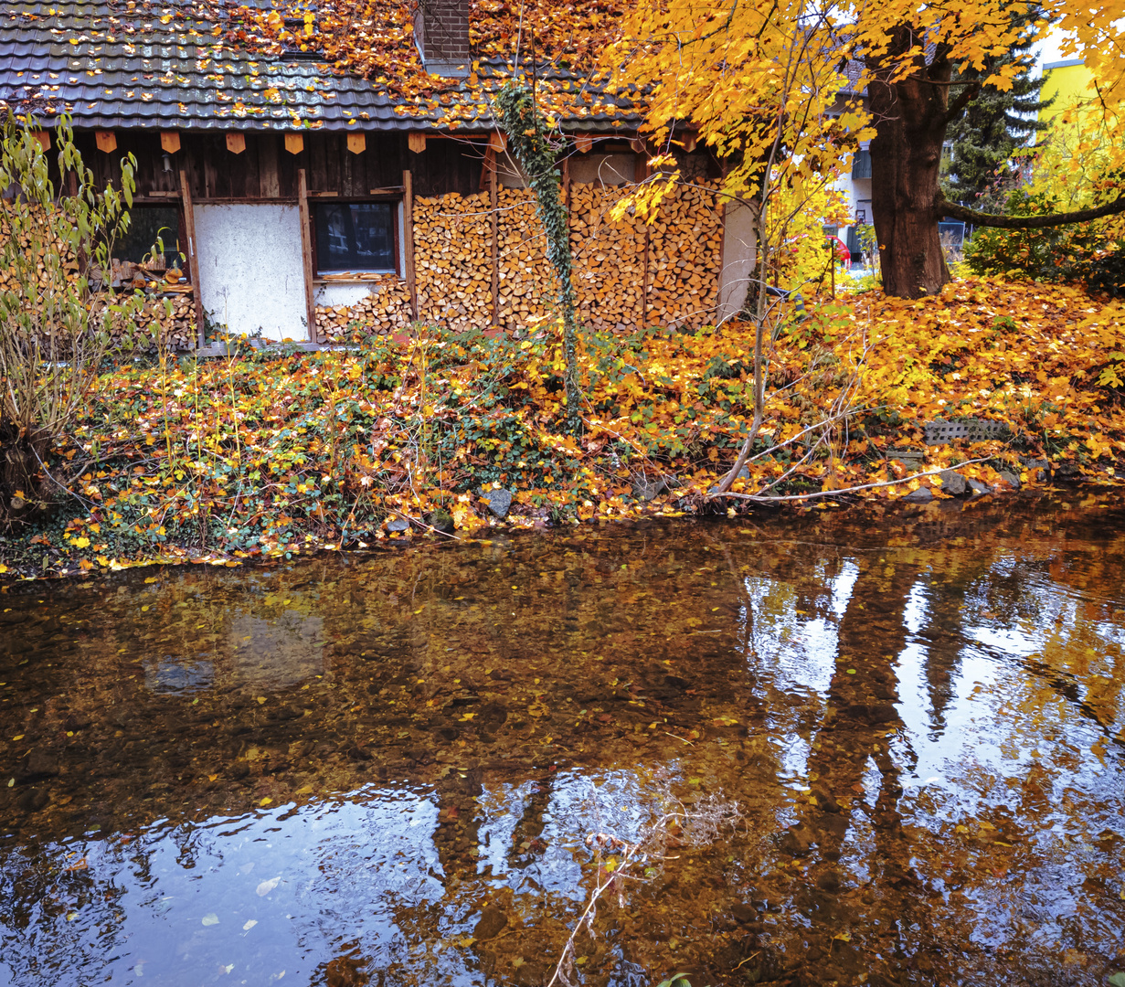 Spiegeltag - Am Neumagen