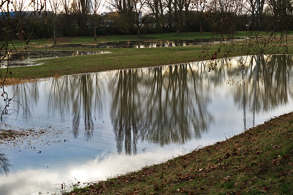 Spiegeltag: Am Rhein