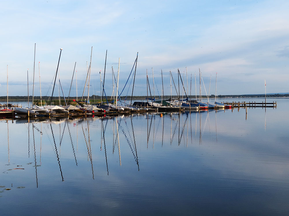 Spiegeltag: Am Steinhuder Meer